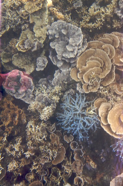 AustraliaPerth 10  113